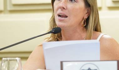 Piden informes sobre los protocolos de seguridad del Aeropuerto de Sauce Viejo