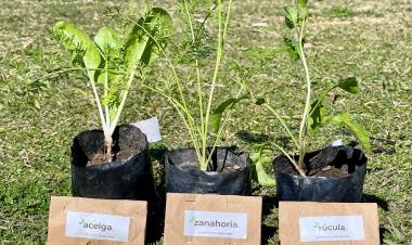 Continúa la entrega gratuita de Kits de Semillas  