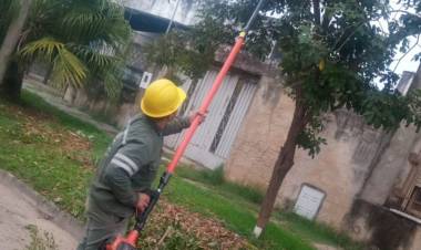 Plan de Poda: el Municipio comenzó con los trabajos en distintos barrios de Santa Fe
