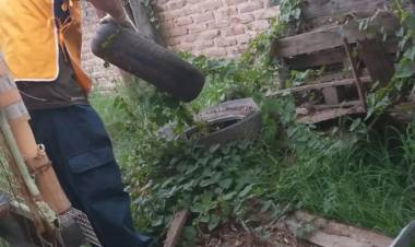 Se realizan acciones preventivas contra el dengue