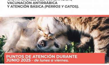 Atención veterinaria móvil: cronograma para el mes de junio