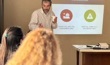 Se lanzaron los Cursos de Empleo Verde