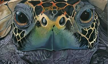 Se inaugura la muestra Pinceladas Salvajes