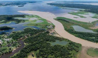 Brasil: aumentó la deforestación en la Amazonia en mayo