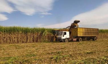 Los azucareros argentinos en pie de guerra contra una propuesta de Lula Da Silva al Mercosur