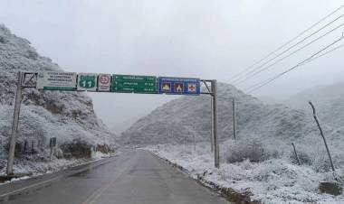 Bolivia enfrenta un invierno extremo: 92 municipios en desastre por heladas y miles de familias afectadas