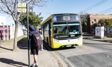 Se modificarán los recorridos de las líneas de colectivos 8 y 14