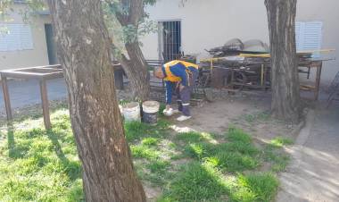 La Municipalidad de Santo Tomé Refuerza la Prevención del Dengue con Operativos de Descacharrado y Eco Escuelas Durante el Receso Escolar