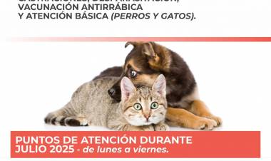Atención Veterinaria Móvil: continuidad del servicio gratuito en julio