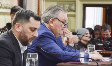 Reforma constitucional: confirman que la limitación de la reelección de legisladores será desde el período que viene