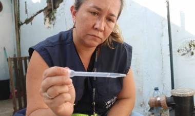 Brasil superó los 4 millones de casos de dengue