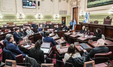 Reuniones con representantes de ex combatientes de Malvinas, cooperativas, colegios profesionales y derechos humanos