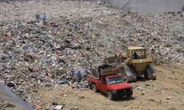 Usan plantas y microorganismos para descontaminar el relleno sanitario