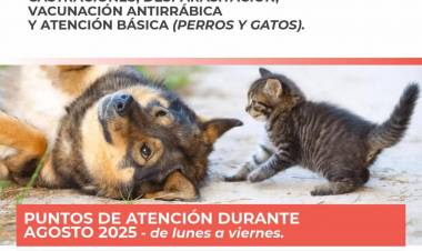 Municipalidad de Santo Tomé informa el cronograma de atención de las Unidades Veterinarias Municipales para el mes de agosto