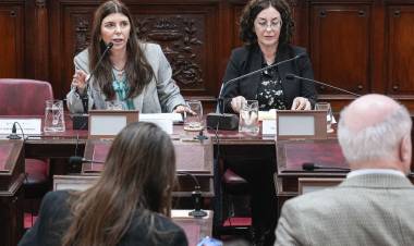 Más de 70 oradores participaron de la audiencia de la Comisión de Funcionamiento del Estado y Participación Ciudadana