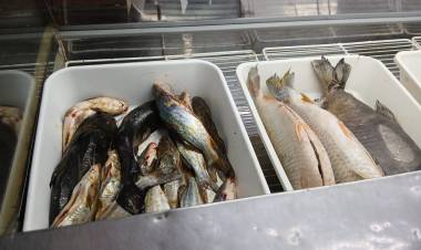 Operativo especial en pescaderías de Santo Tomé