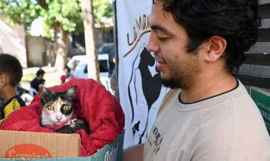 El IMUSA realizará castraciones masivas en barrio Pompeya