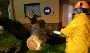 La Municipalidad continúa trabajando frente a las condiciones climáticas que afectan a nuestra ciudad
