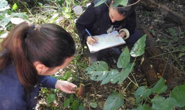 Científicas estudian diversidad y potenciales utilidades de los hongos 