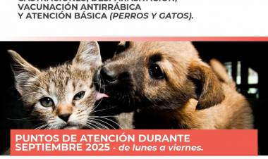 Atención veterinaria móvil: Cronograma para el mes de septiembre