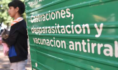 El IMUSA realizará castraciones masivas en barrio Acería