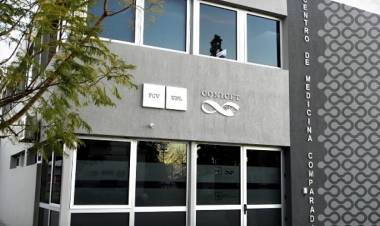 La UNL e INTA analizan uin probiótico que mejora la producción porcina