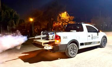 Continúa el Programa Municipal de Fumigación – Temporada 2025/2026