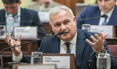 Pablo Farías sobre la nueva constitución: "Simplifica el sistema político y muestra que se puede gobernar distinto"