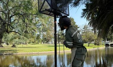 Parque Garay: el Municipio coloca paneles solares para iluminar las islas