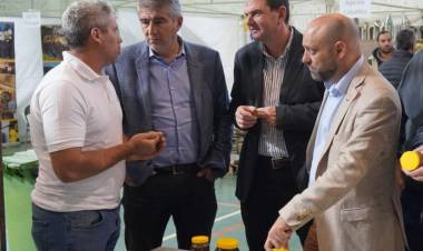 Santa Fe lleva invertidos más de $ 9.162 millones en fortalecimiento para la actividad apícola