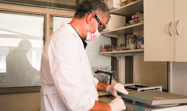 Ensayan una vacuna nasal para prevenir y tratar el Chagas crónico  