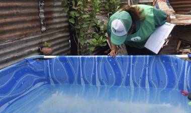 Dengue: se confirmó la presencia del vector en 23 barrios de la ciudad de Santa Fe