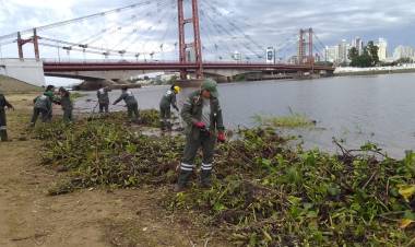 La Municipalidad limpió de camalotes la playa de la Costanera Este