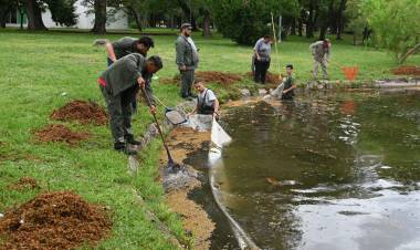 La Municipalidad realiza la limpieza de los lagos del parque Garay