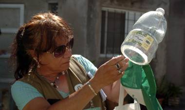 Dengue: se confirmó la presencia del vector en 33 barrios de la ciudad de Santa Fe