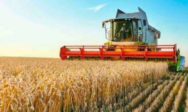 La demanda de China impulsa el crecimiento de las exportaciones argentinas de sorgo