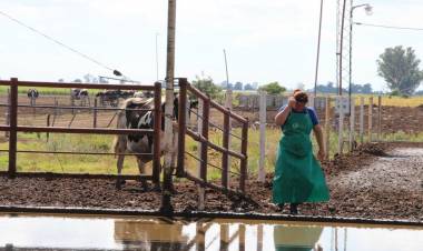 Santa Fe lidera las exportaciones lácteas y consolida el crecimiento del sector