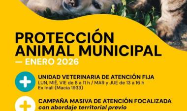 Protección Animal Municipal: cronograma de atención para enero de 2026