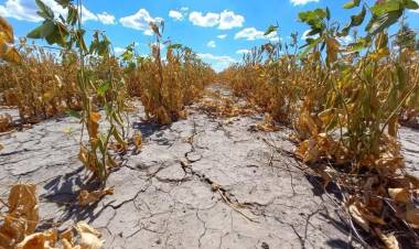 Santa Fe prorrogó la emergencia agropecuaria por sequía en el norte provincial
