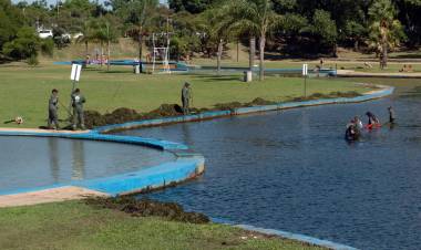 La Municipalidad intensifica las tareas de mantenimiento y limpieza en el Parque del Sur