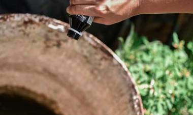 Dengue: se confirmó la presencia del vector en 25 barrios de la ciudad de Santa Fe