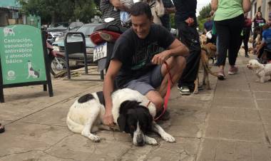  El Imusa castró y vacunó a más de 120 animales de compañía en barrio Centenario