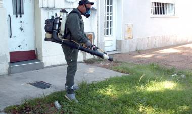 Dengue: la Municipalidad activó el protocolo y realizó un operativo de bloqueo en barrio Sur