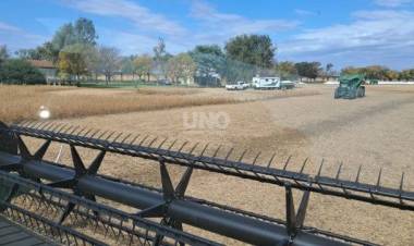 Para la Bolsa de Comercio de Santa Fe, el acuerdo Mercosur–UE "beneficia a toda la cadena productiva"