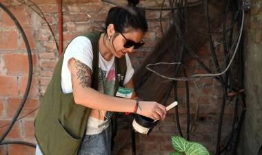 Dengue: se confirmó la presencia del vector en 26 barrios de la ciudad de Santa Fe