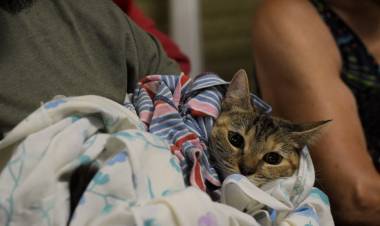 La Municipalidad brindará diferentes servicios este sábado en la vecinal El Tránsito