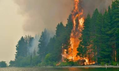 Declaran la emergencia ígnea en cuatro provincias por incendios en la Patagonia