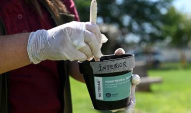 Dengue: se confirmó la presencia del vector en 30 barrios de la ciudad de Santa Fe