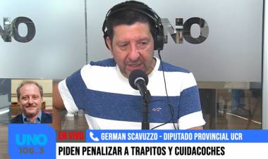 Multas, trabajo comunitario y arrestos: las sanciones planteadas en la ley para prohibir a los cuidacoches en Santa Fe