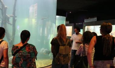 El Acuario del Río Paraná celebra su 8° aniversario con actividades abiertas y gratuitas para toda la familia